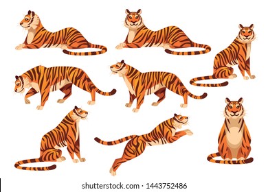 Set of adult big tiger wildlife and fauna theme cartoon animal design flat vector illustration isolated on white background