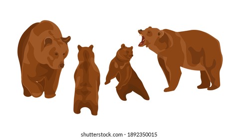 A set of adult brown bears and their cubs in different poses.
isolated objects Grizzly bear. American and European animal. Vector