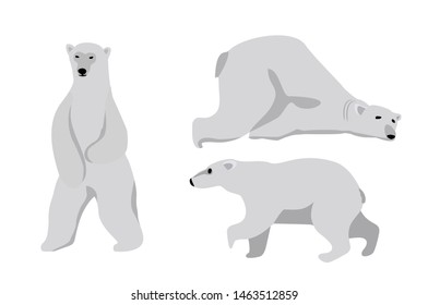 Set of adult polar bears and their young cubs in various poses. Northern animals. Vector