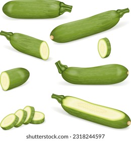 Set of Aehobak or Korean zucchini or Korean courgette. Summer squash. Cucurbita pepo. Fruits and vegetables. Vector illustration isolated on white background.