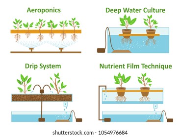 Set of aeroponic and hydroponic plant growth systems.Color vector illustration