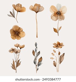 Set of Aesthetic Brown Flower Watercolor Clipart