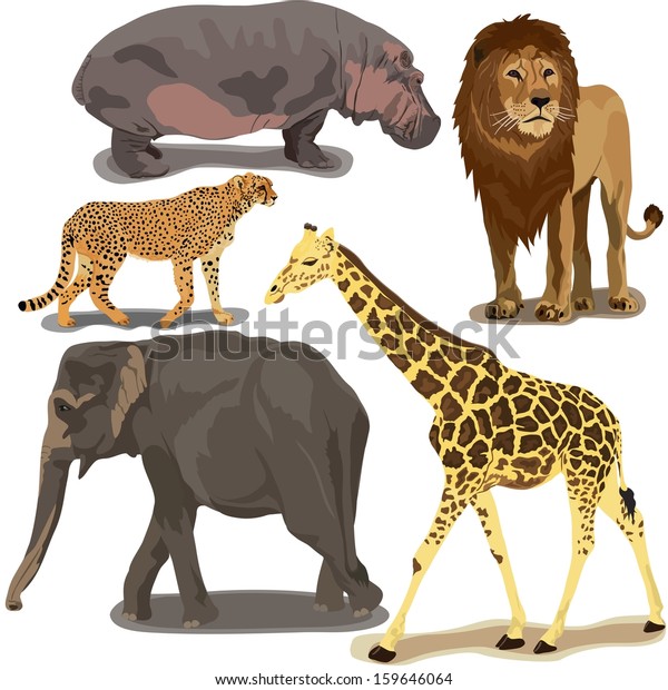 Set African Animals Stock Vector (royalty Free) 159646064