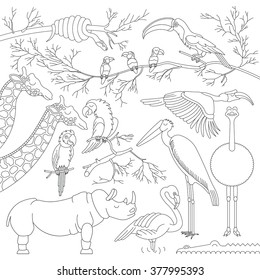 Set of african animals and birds. Vector african animals and birds in flat, lineal style. Each animal and bird is isolated, separately grouped.