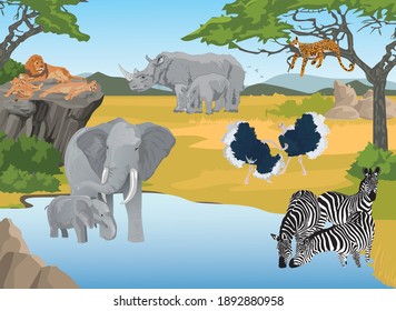 
set of african animals by the river