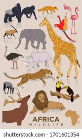 Set of African animals. Extra big set zoo animals realistic flat cartoon design style. Vector illustrator.