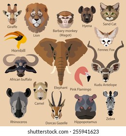 Set of african animals faces isolated icons. Flat style design. Vector illustration.