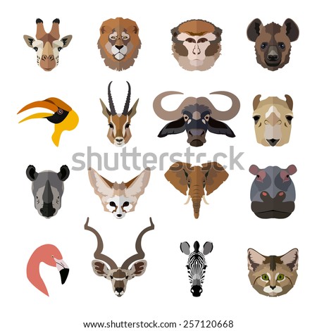 Set of african animals faces isolated icons. Flat style design. Vector illustration.