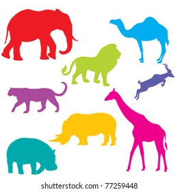 Set of African animals, isolated and grouped objects over white background