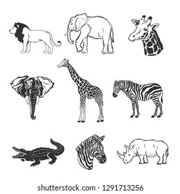 Set of African Animals isolated on white. Vector illustration.