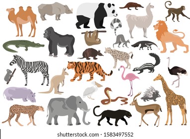 Set of african animals vector. Safari animals illustration.