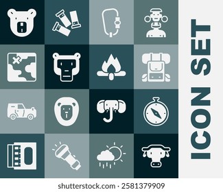 Set African buffalo head, Compass, Hiking backpack, Carabiner, Monkey, safari map, Bear and Campfire icon. Vector