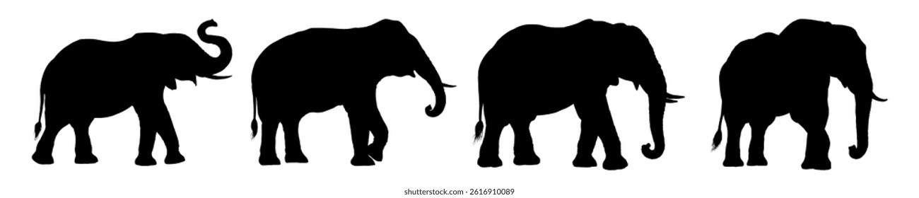 Set of african elephant silhouette – vector illustration