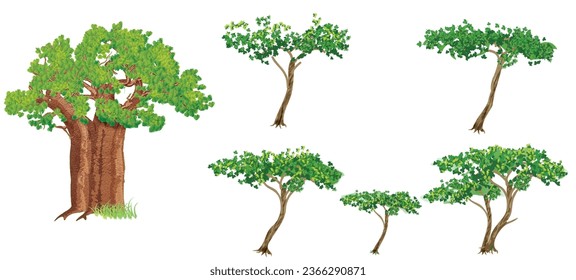 Set of african jungle trees, into which it have inserted in also an old baobab tree. Vector illustration isolated on white background.