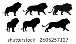 set of african lion silhouettes - vector illustration