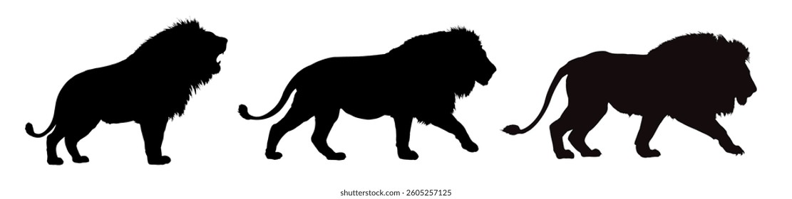 set of african lion silhouettes - vector illustration
