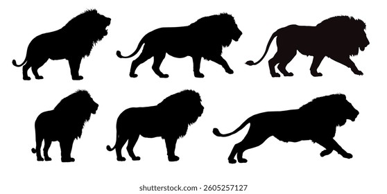 set of african lion silhouettes - vector illustration