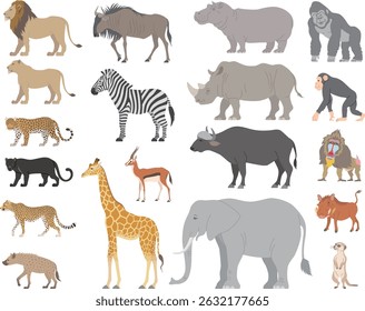 The set of african mammals isolated on white background