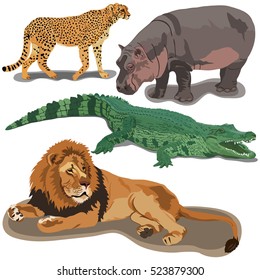 Set of African predators