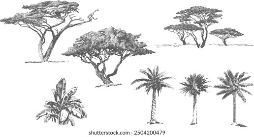 set of African safari trees in vector, retro style realistic ink tattoo illustration, palms and leaves