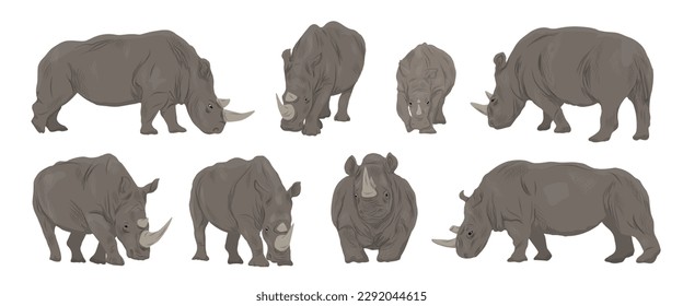 Un conjunto de rinocerontes blancos africanos en diferentes poses. Rinocerontes blancos y sus cachorros. Animal vector realista