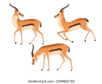 Set of African wild black-tailed gazelle with long horns head looks back cartoon animal design flat vector illustration on white background side view antelope