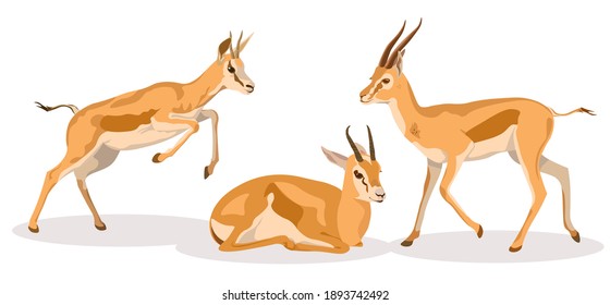 Cartoon Gazelle High Res Stock Images Shutterstock