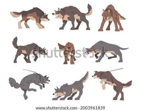 Set of Aggressive Large Dogs Baring its Teeth and Barking Vector Illustration