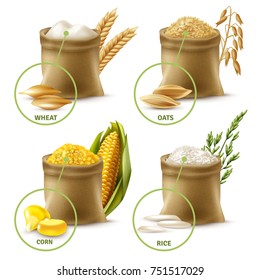 Set of agricultural cereals including sacks with wheat flour, oat, corn and rice isolated vector illustration