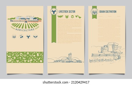 A set of agricultural leaflets, flyers, brochures with a combine harvester harvesting wheat, an eco farm. Template of flyers for the agricultural industry
