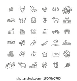 Set of Agriculture and Farming Line Icons