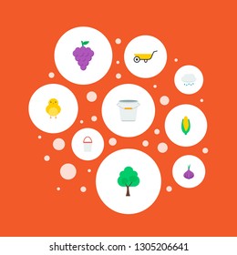 Set of agriculture icons flat style symbols with bucket, cloud, corn and other icons for your web mobile app logo design.