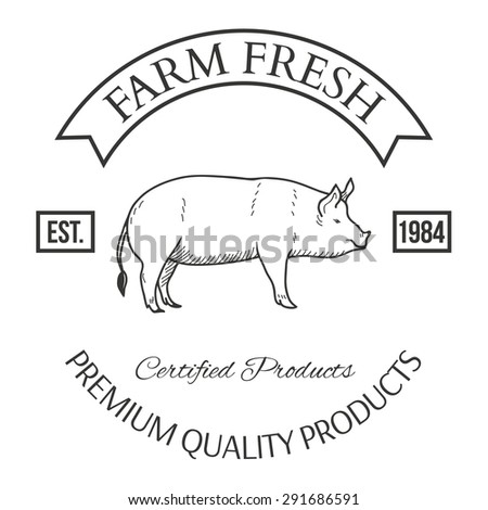 Set of agriculture vector label design elements Illustration