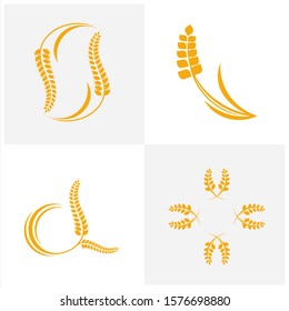 Set of Agriculture Wheat logo template vector, Luxury Wheat Logo Concept, Icon Symbol