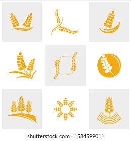 Set of Agriculture Wheat logo template vector, Luxury Wheat Logo Concept, Icon Symbol