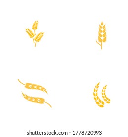 Definir diseño de icono del vector de trigo agrícola 