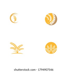 Set Agriculture wheat vector icon design 