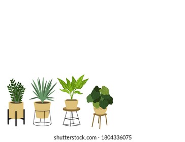 A set of Air Cleaning Plants in pots isolated on white background. Concept about house plants, gardening, hobbies and etc. 