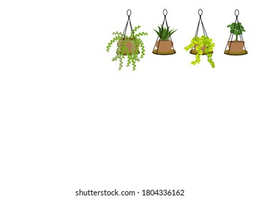 A set of Air Cleaning Plants in pots isolated on white background. Concept about house plants, gardening, hobbies and etc. 