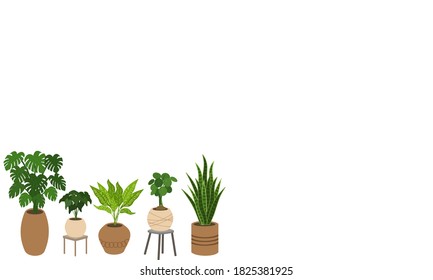 A set of Air Cleaning Plants in pots isolated on white background. Concept about house plants, gardening, hobbies and etc. 