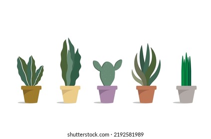 Set of air filtering plants in pot isolated on white.