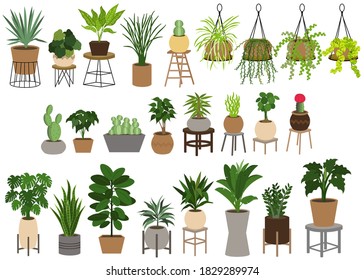 A set of Air House Plants in pots isolated on white background. Concept about house plants, gardening, hobbies and etc. 