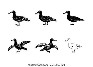 Set of Albatross silhouette vector illustration