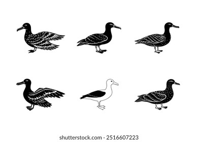 Set of Albatross silhouette vector illustration