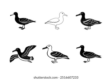 Set of Albatross silhouette vector illustration