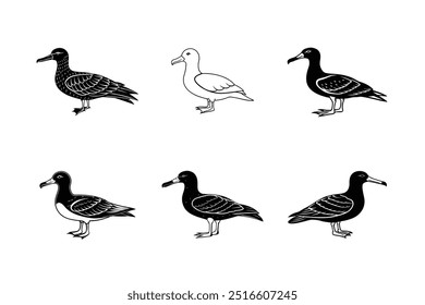 Set of Albatross silhouette vector illustration