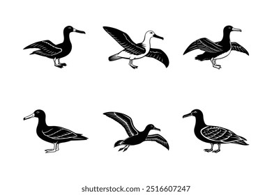 Set of Albatross silhouette vector illustration