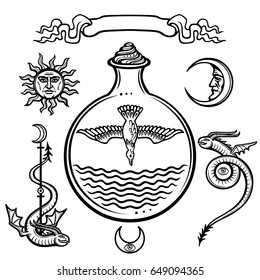 Set of alchemical symbols. Origin of life.  Symbolical bird in a test tube. Religion, mysticism, occultism, sorcery.Vector illustration isolated on a white background.