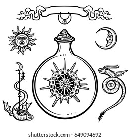 Set of alchemical symbols. Origin of life. Skeleton of a radiolaria in a test tube. Religion, mysticism, occultism, sorcery.Vector illustration isolated on a white background.