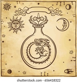 Set of alchemical symbols. Origin of life. Mystical snakes ouroboros in a test tube. Religion, mysticism, occultism, sorcery.  Background - imitation of old paper. Vector illustration.